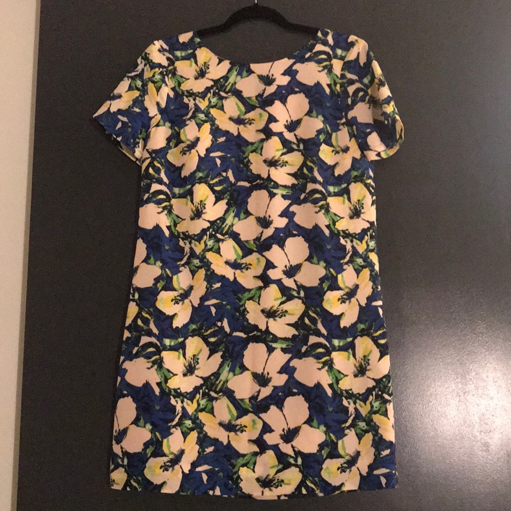 JCrew Dress